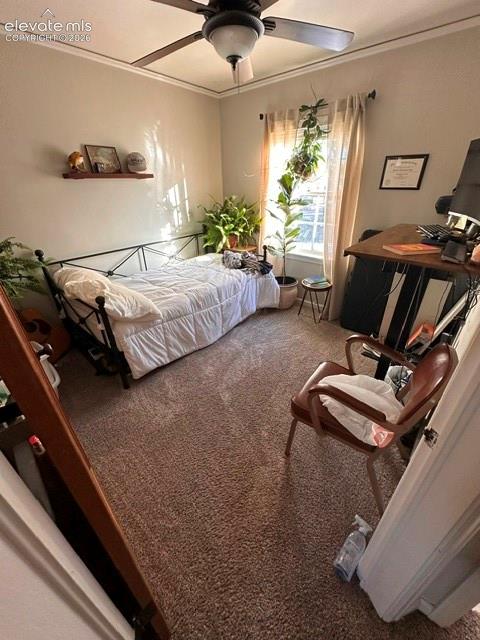 316 W 21st Street Pueblo CO 81003