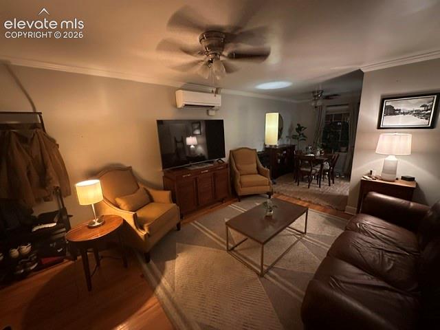 316 W 21st Street Pueblo CO 81003