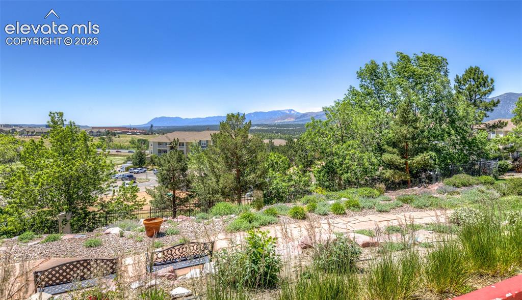 126 Luxury Lane Colorado Springs CO 80921