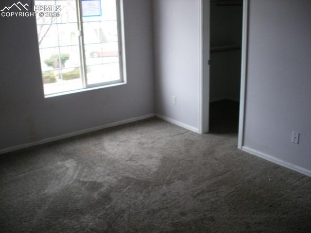 303 Ellers Grove Colorado Springs CO 80916