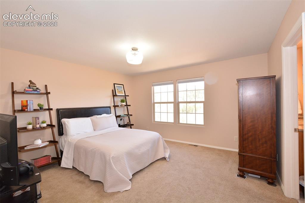 806 Misty Pines Circle Woodland Park CO 80863