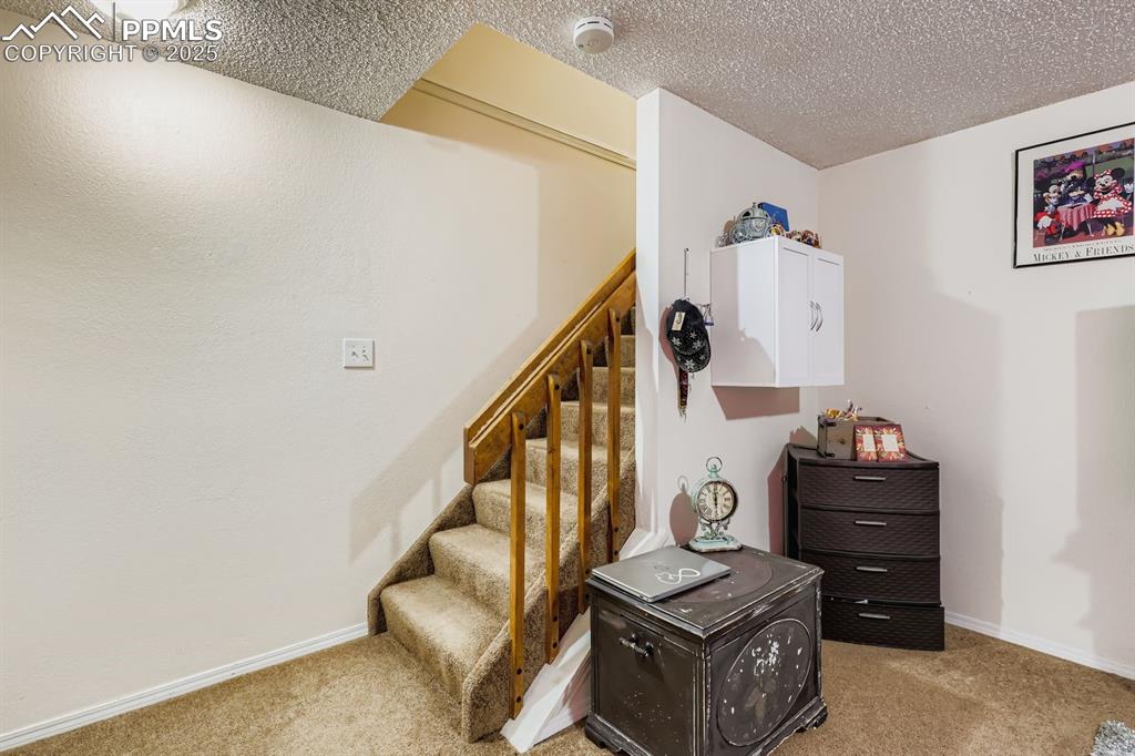 4386 Hawks Lookout Lane Colorado Springs CO 80916