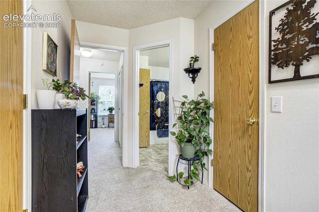 3351 Queen Anne Way Colorado Springs CO 80917