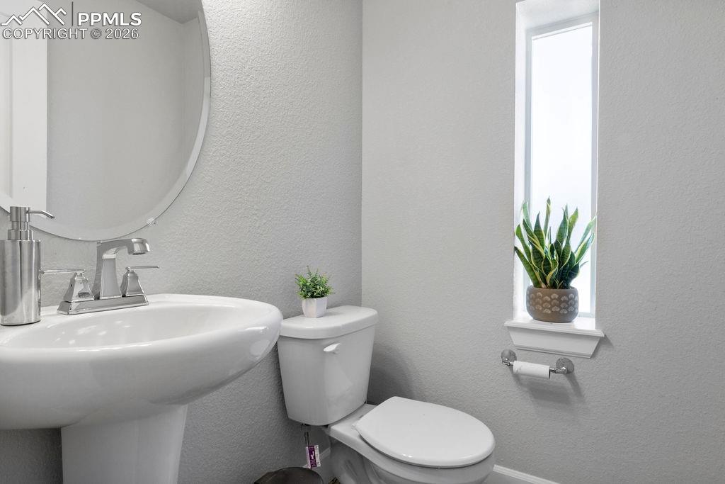 6340 Alyssum Heights Colorado Springs CO 80924