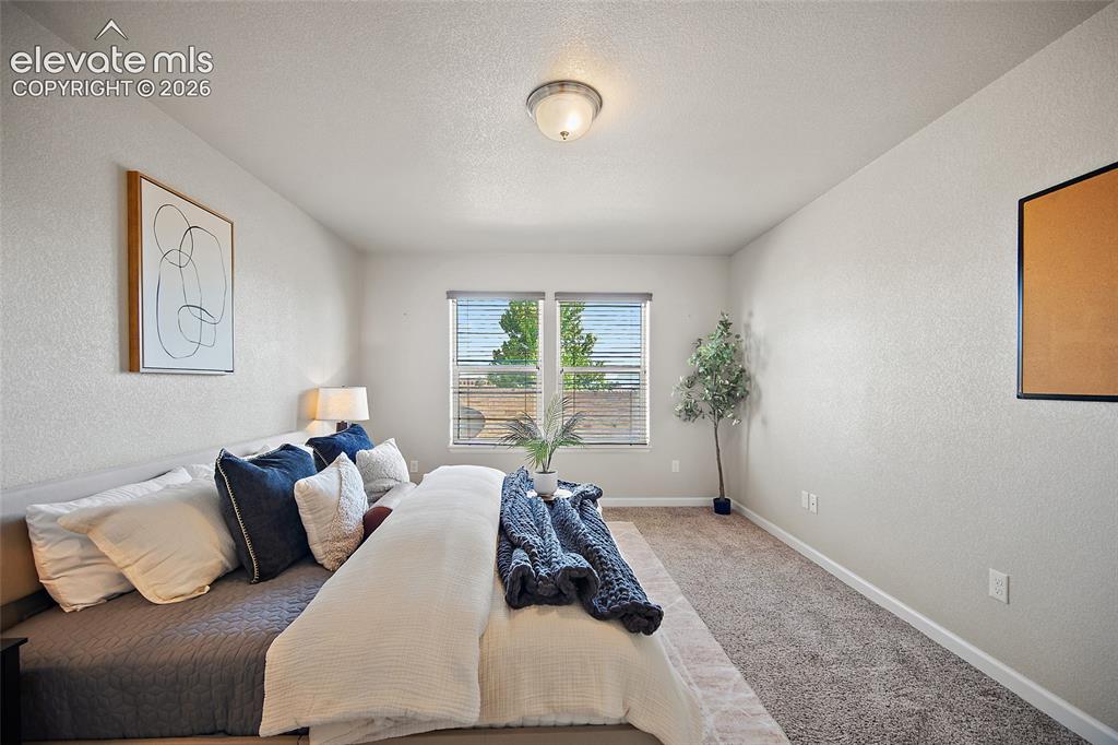 11447 Rill Point Colorado Springs CO 80921