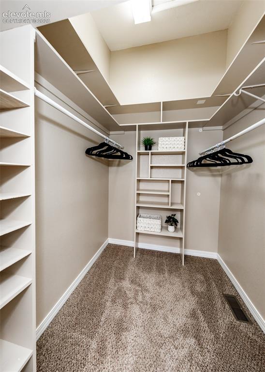 4544 Prestige Point Colorado Springs CO 80906
