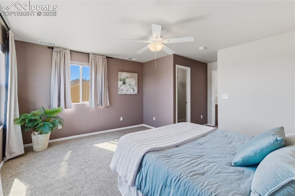 5621 Saint Patrick View Colorado Springs CO 80923