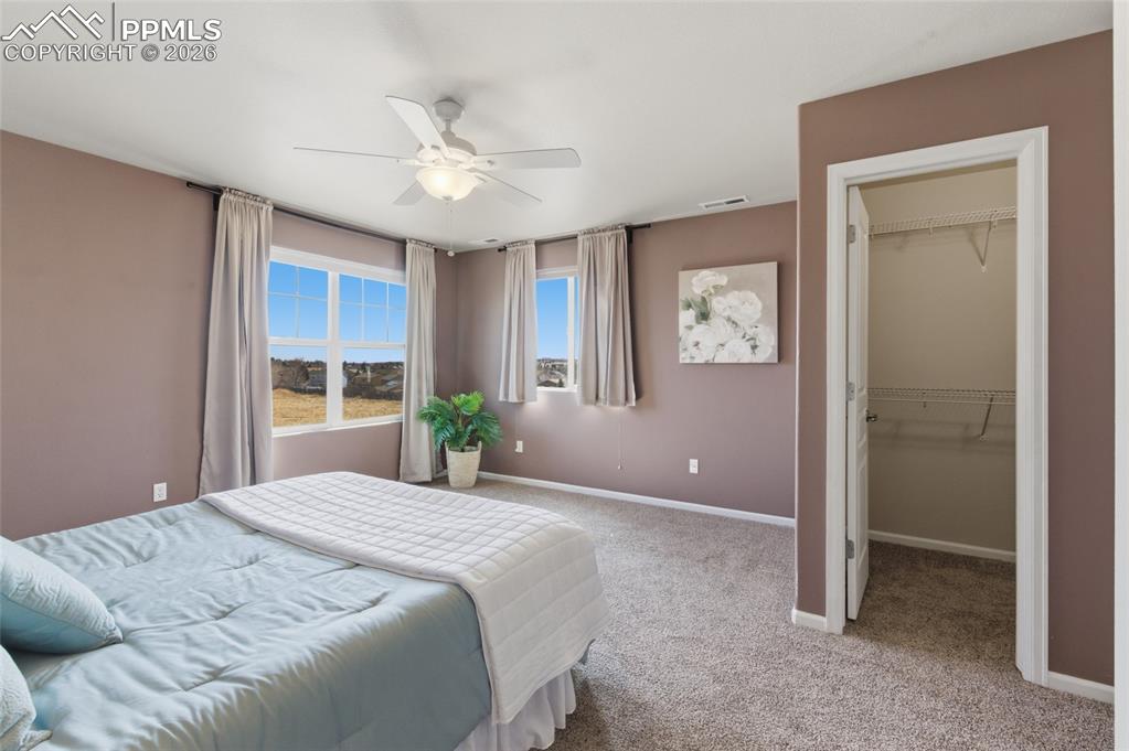 5621 Saint Patrick View Colorado Springs CO 80923