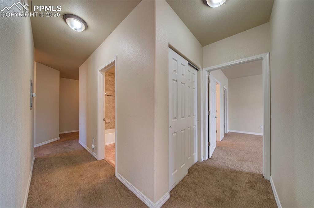 1510 Little Bear Creek Point Colorado Springs CO 80905