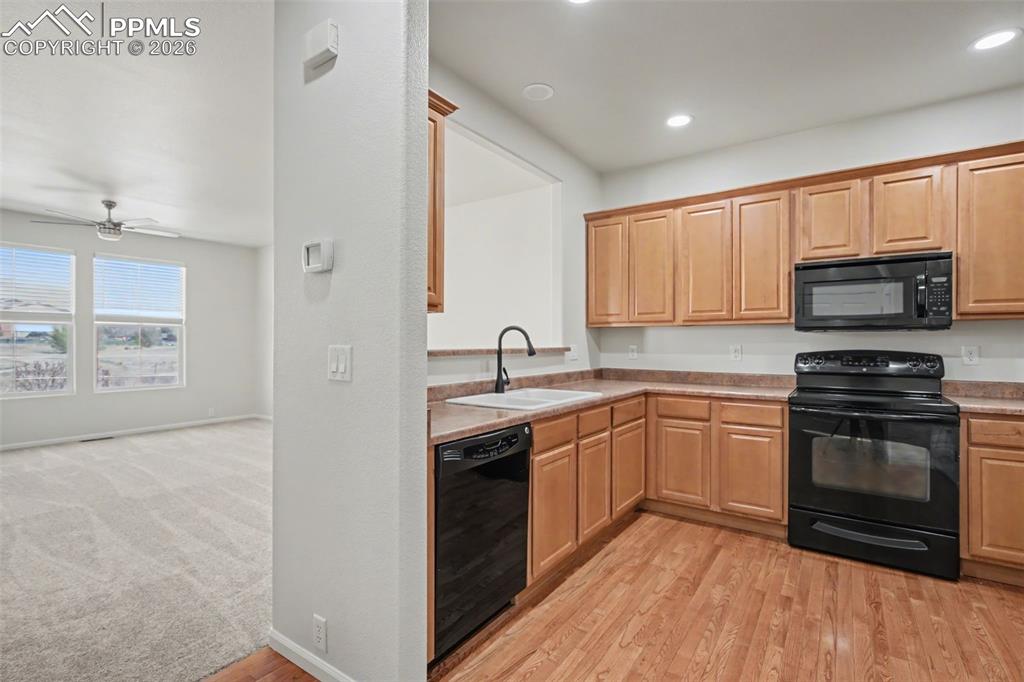 7125 Red Sand Grove Colorado Springs CO 80923