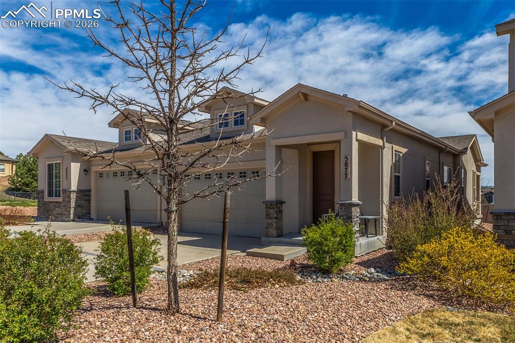 5877 Wild Rye Drive Colorado Springs CO 80919