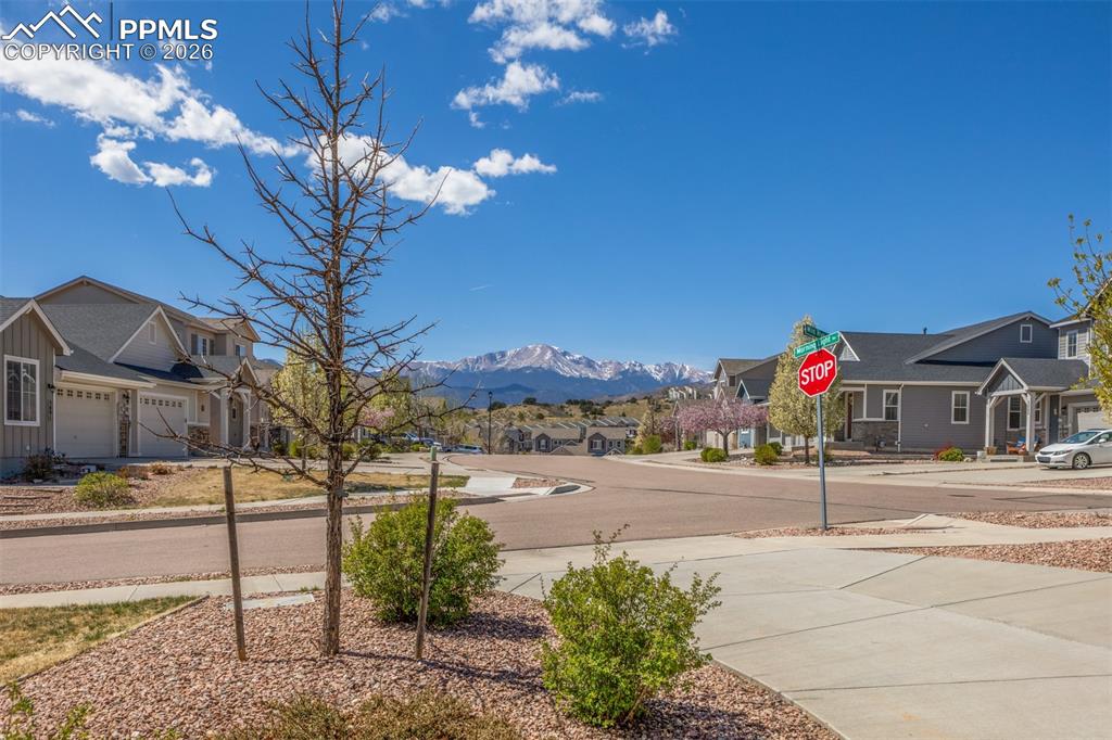 5877 Wild Rye Drive Colorado Springs CO 80919