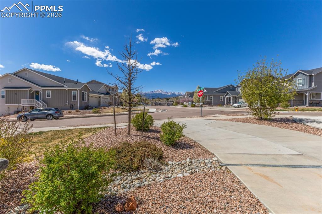 5877 Wild Rye Drive Colorado Springs CO 80919