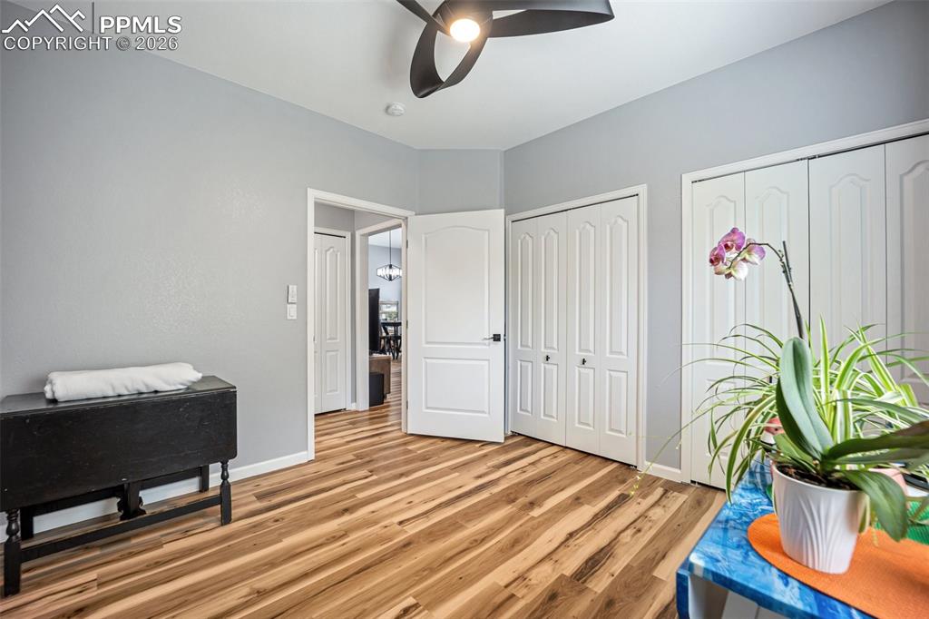 3921 Coral Point Colorado Springs CO 80917