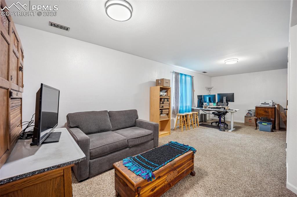 3921 Coral Point Colorado Springs CO 80917