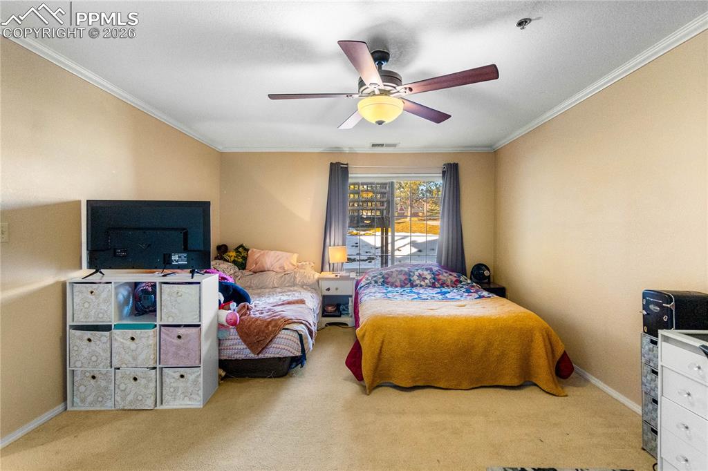 2170 Alicia Point Colorado Springs CO 80919