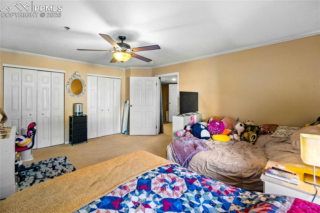 2170 Alicia Point Colorado Springs CO 80919