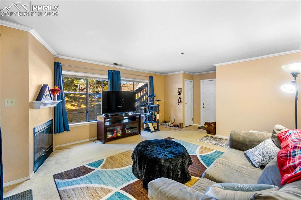 2170 Alicia Point Colorado Springs CO 80919