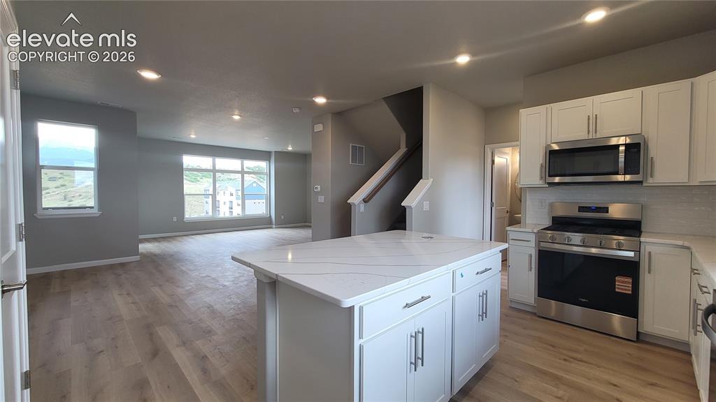 729 Belleza View Colorado Springs CO 80907