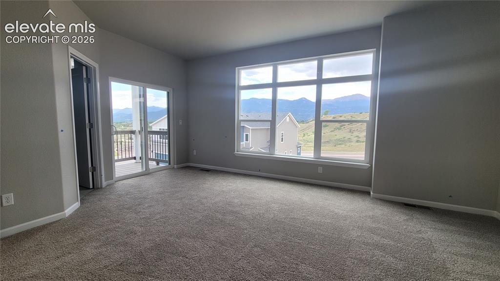729 Belleza View Colorado Springs CO 80907
