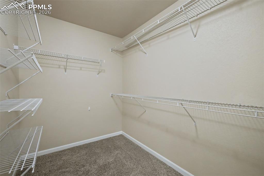 6623 Young Oak Grove Colorado Springs CO 80923