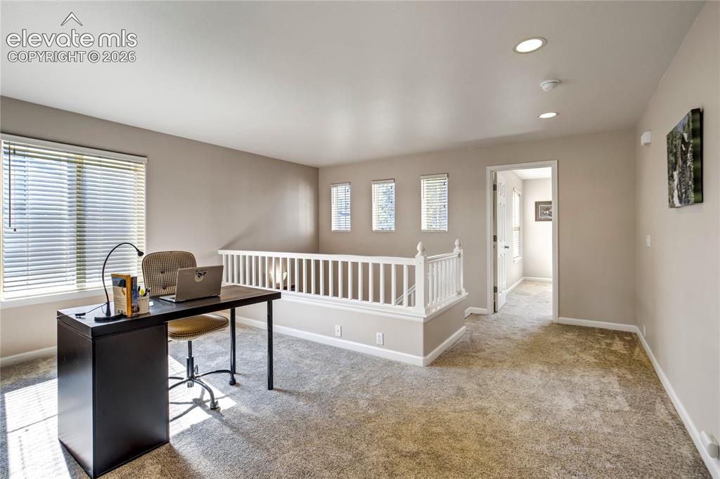 3931 Diamond Ridge View Colorado Springs CO 80918