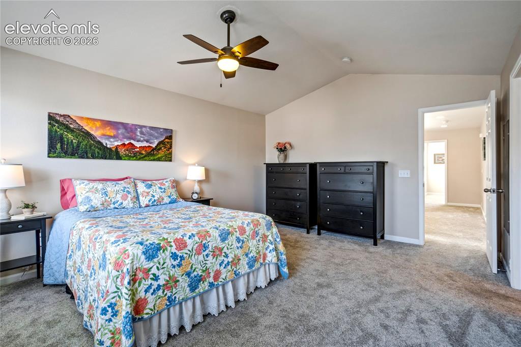 3931 Diamond Ridge View Colorado Springs CO 80918