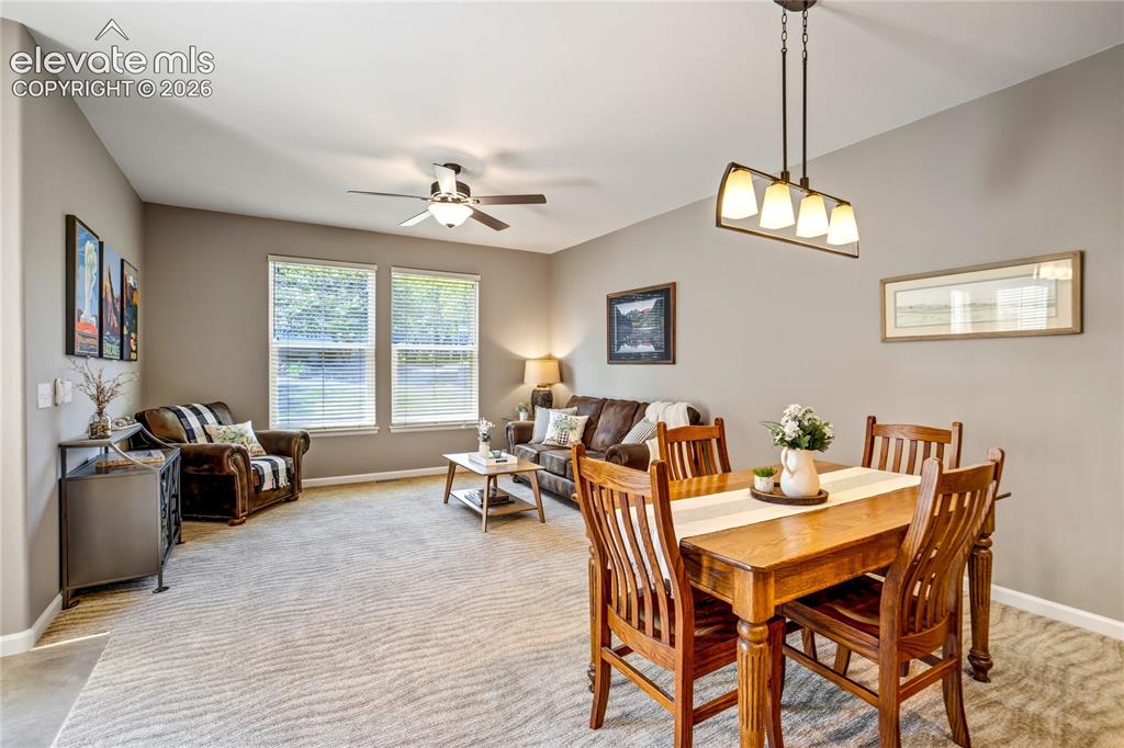 3931 Diamond Ridge View Colorado Springs CO 80918