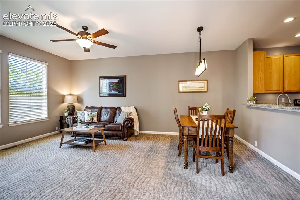 3931 Diamond Ridge View Colorado Springs CO 80918