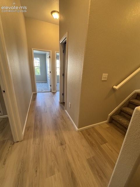 5612 Saint Patrick View Colorado Springs CO 80923