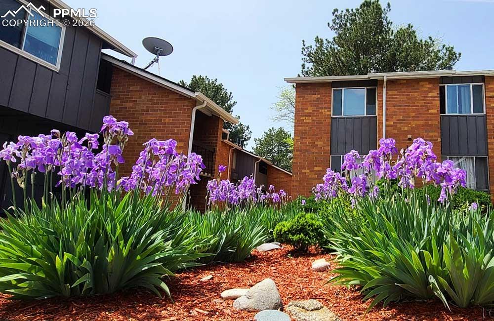 1625 N Murray Boulevard Colorado Springs CO 80915