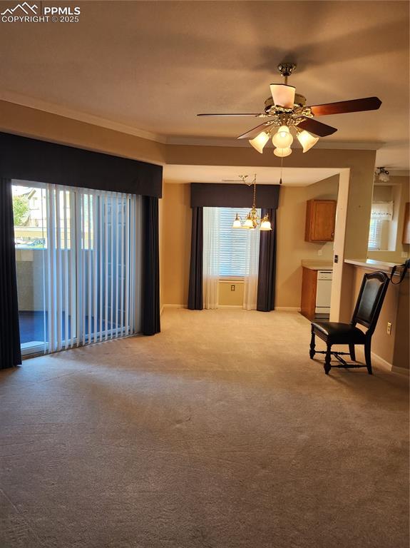 3748 Riviera Grove Colorado Springs CO 80922