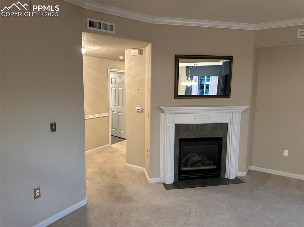 3748 Riviera Grove Colorado Springs CO 80922