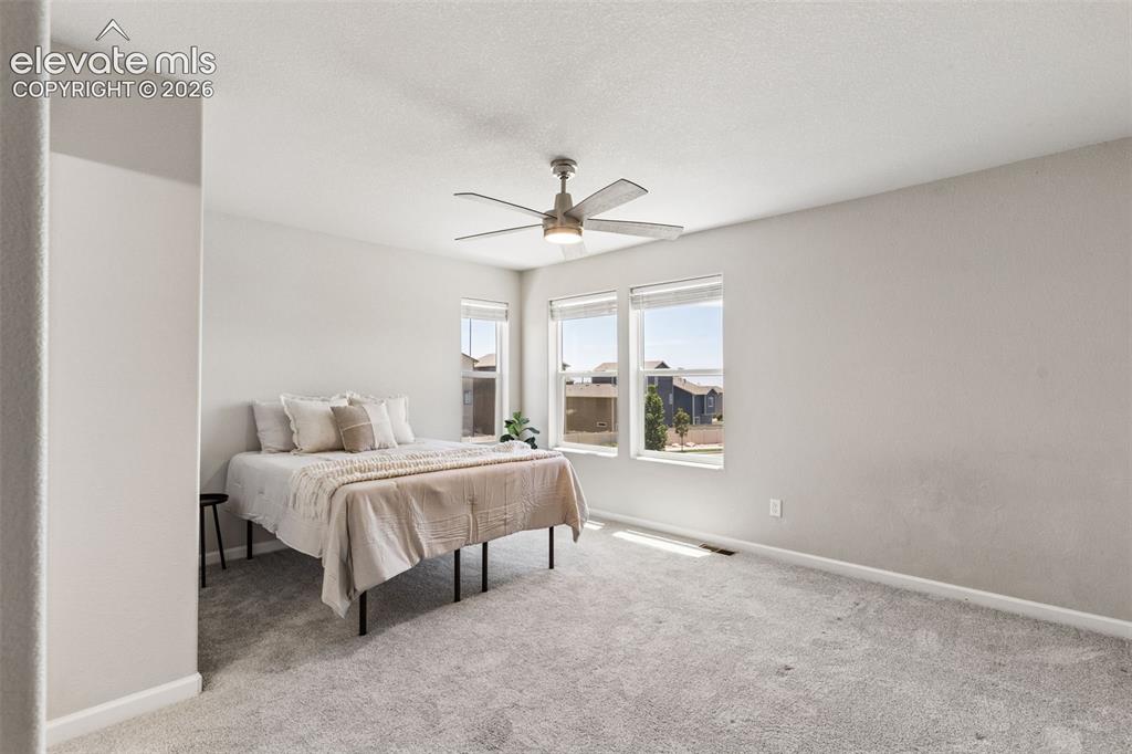 4075 Tiberias Point Colorado Springs CO 80916