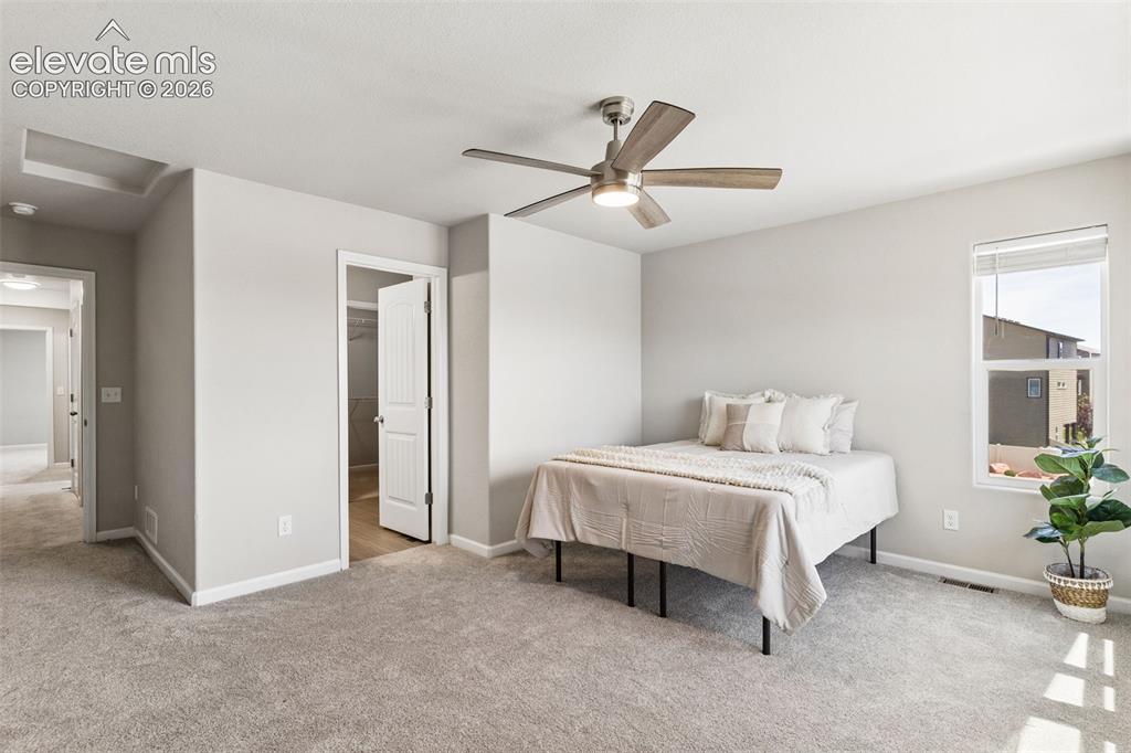 4075 Tiberias Point Colorado Springs CO 80916