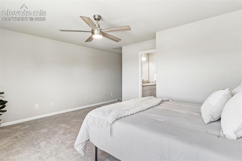4075 Tiberias Point Colorado Springs CO 80916