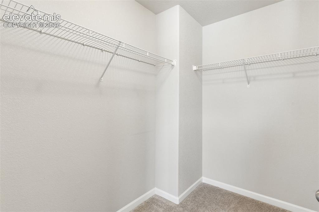 4075 Tiberias Point Colorado Springs CO 80916