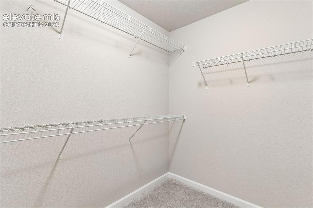 4075 Tiberias Point Colorado Springs CO 80916