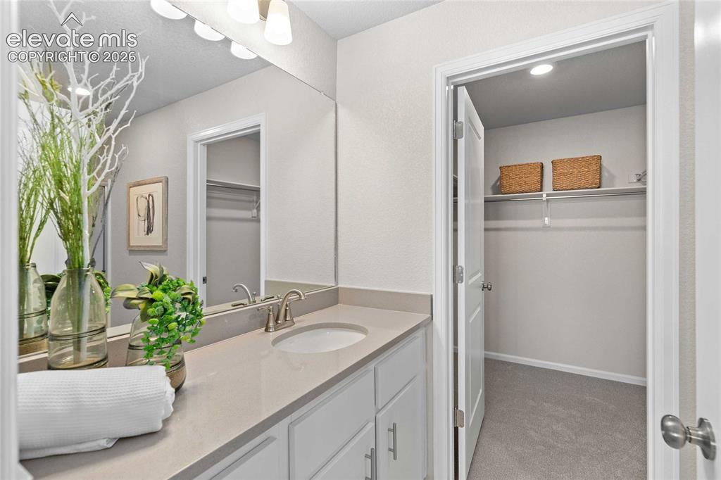 5824 Bowerman Lane Colorado Springs CO 80927