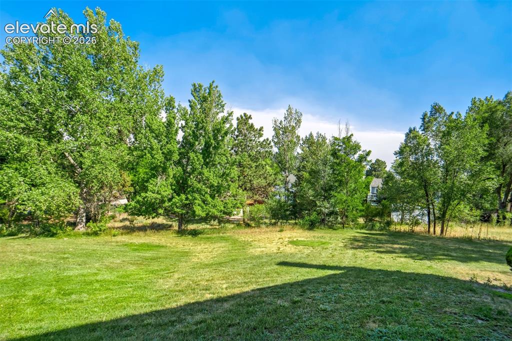 2046 Palm Drive Colorado Springs CO 80918