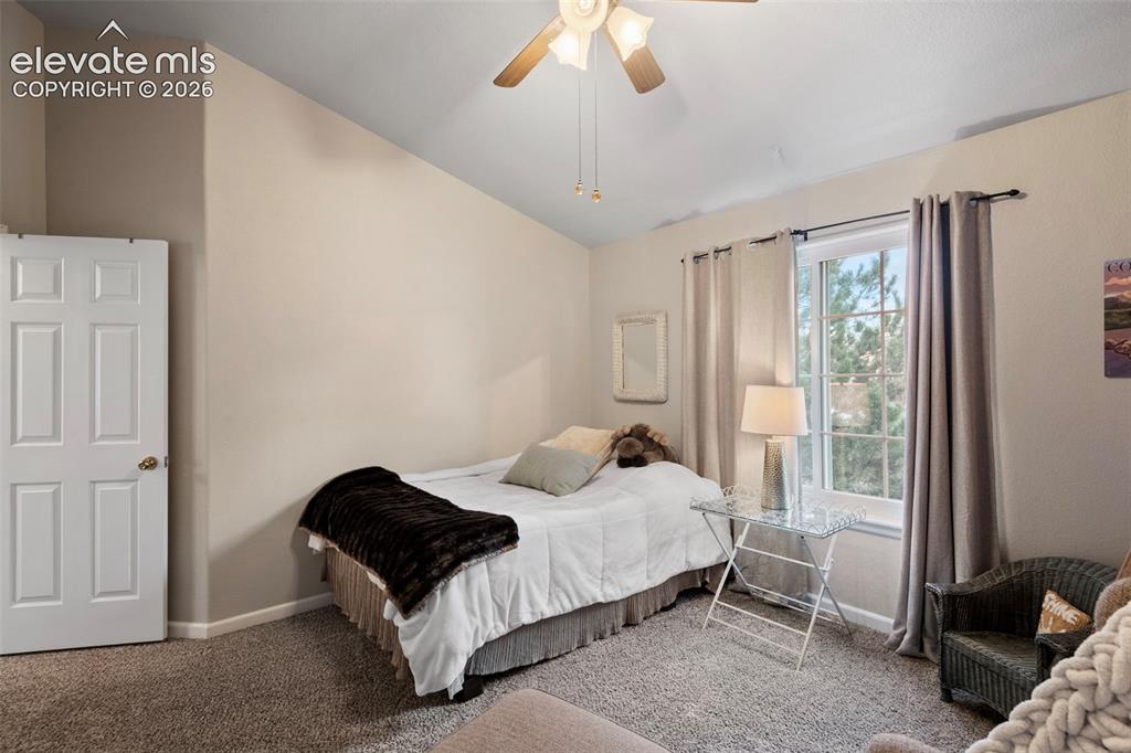 675 Canyon Drive Castle Rock CO 80104