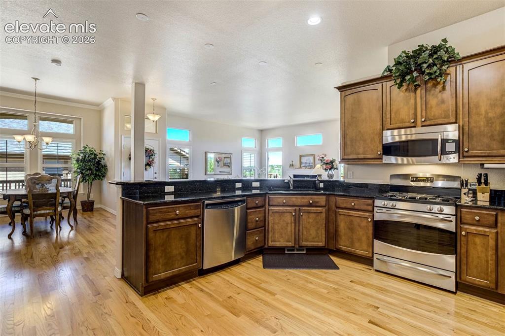 9508 Carriage Creek Point Colorado Springs CO 80920