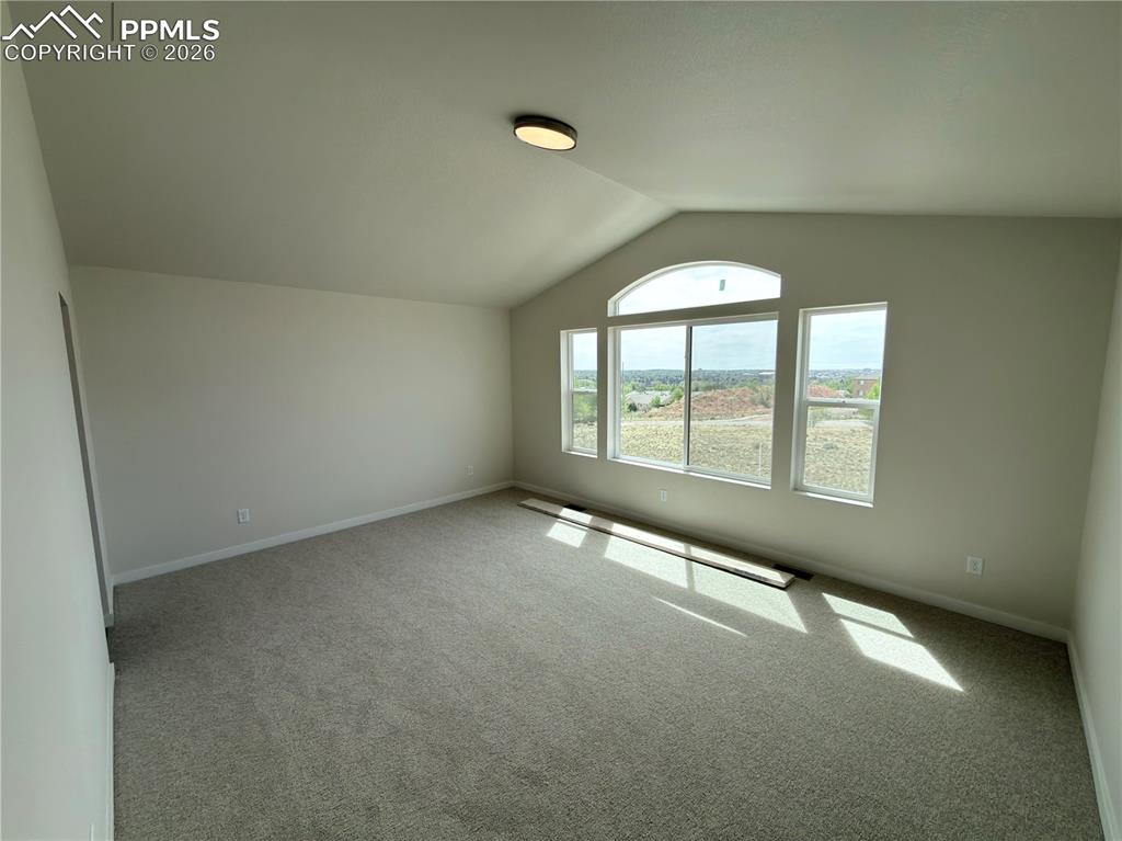 741 Little Bear Grove Colorado Springs CO 80907