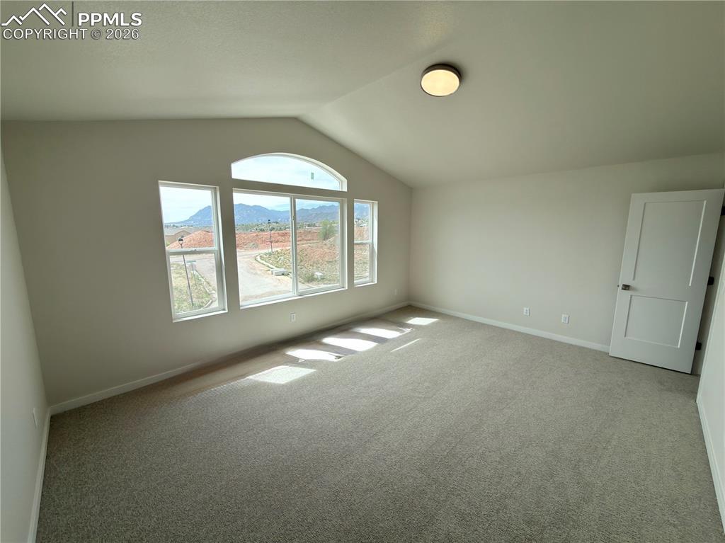741 Little Bear Grove Colorado Springs CO 80907