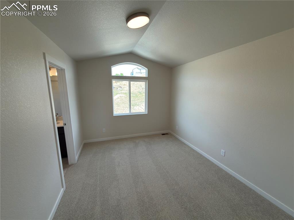 741 Little Bear Grove Colorado Springs CO 80907