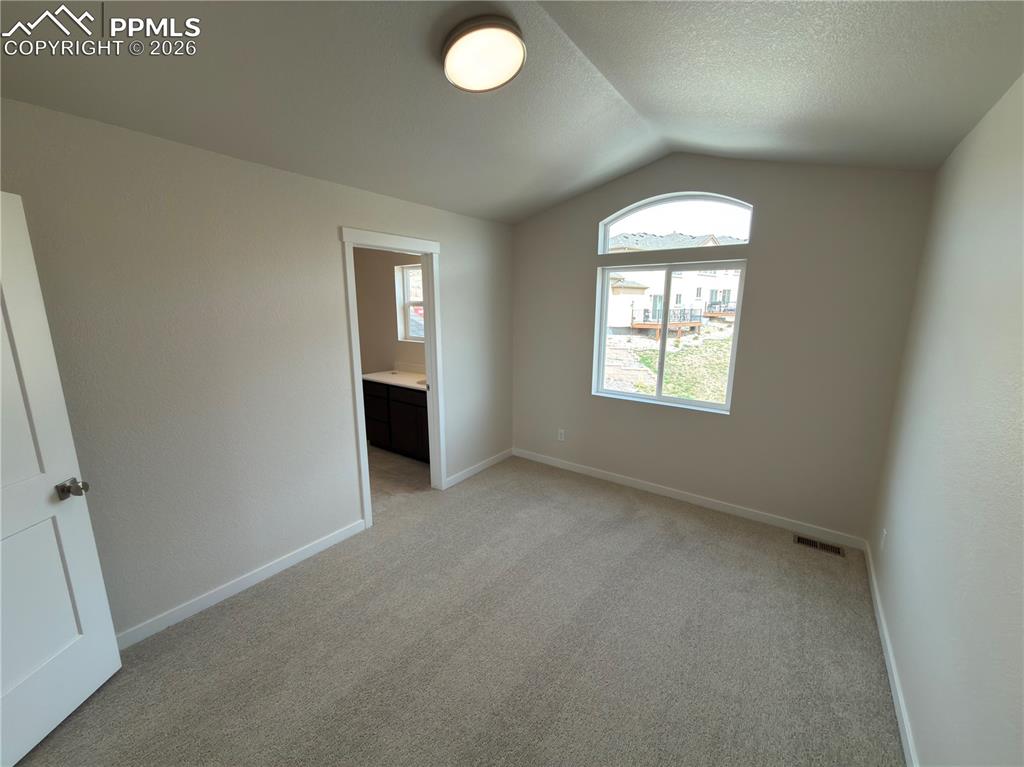 741 Little Bear Grove Colorado Springs CO 80907