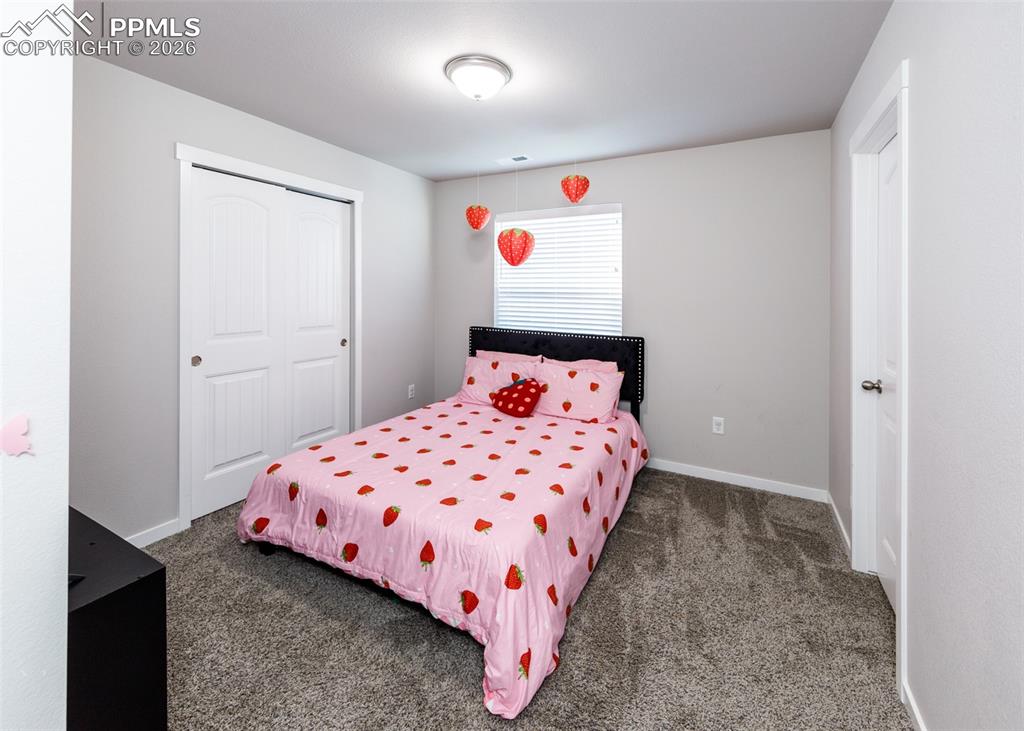 4033 Warthog Heights Colorado Springs CO 80916