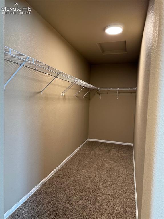 1670 Sandtoft Heights Colorado Springs CO 80951