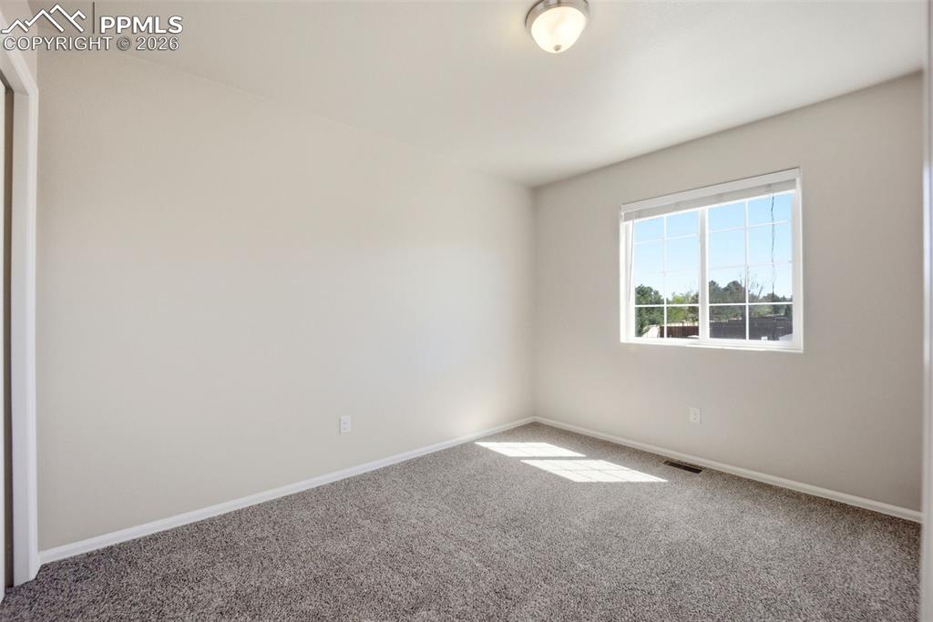 3019 Shikra View Colorado Springs CO 80916