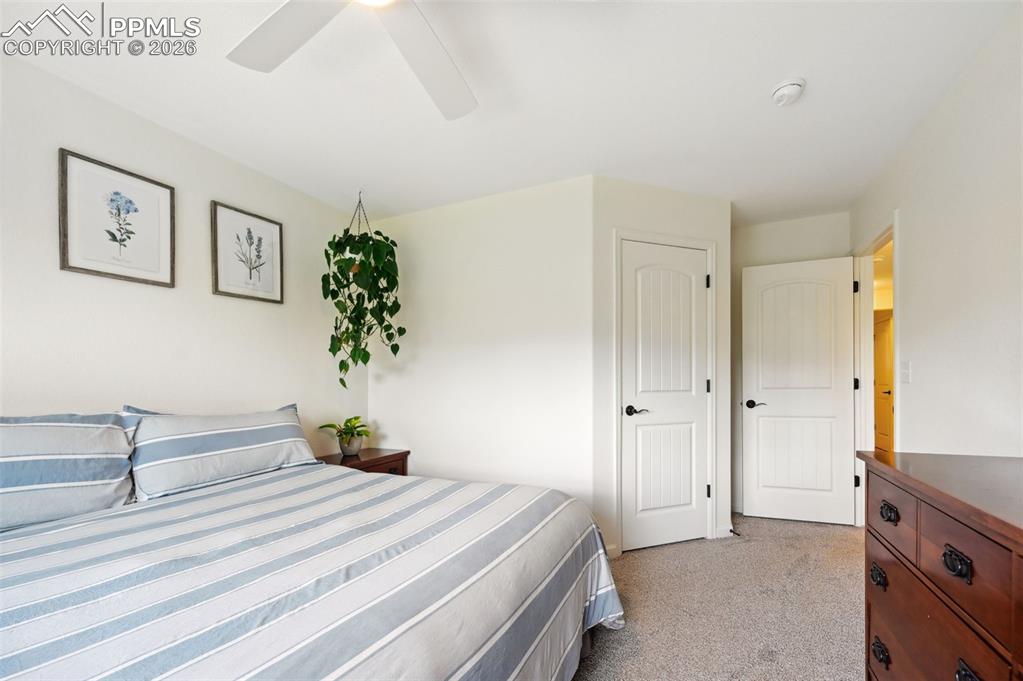 1914 Birmingham Loop Colorado Springs CO 80910